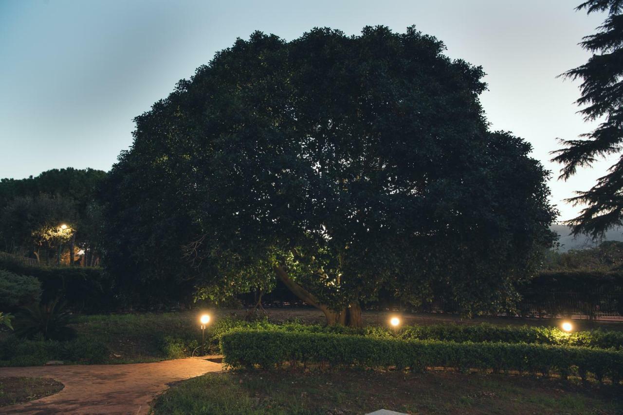 Отель Il Giardino Di Venere Монделло Экстерьер фото