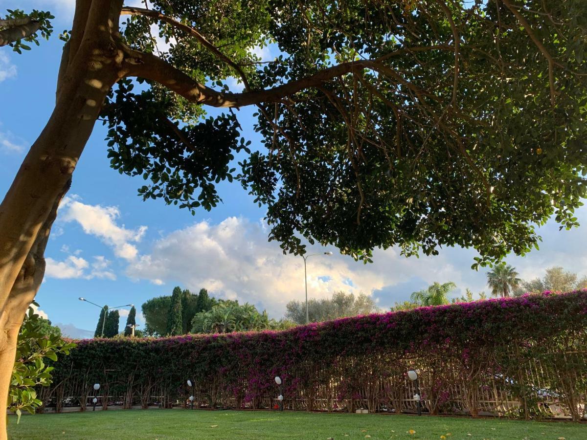Отель Il Giardino Di Venere Монделло Экстерьер фото